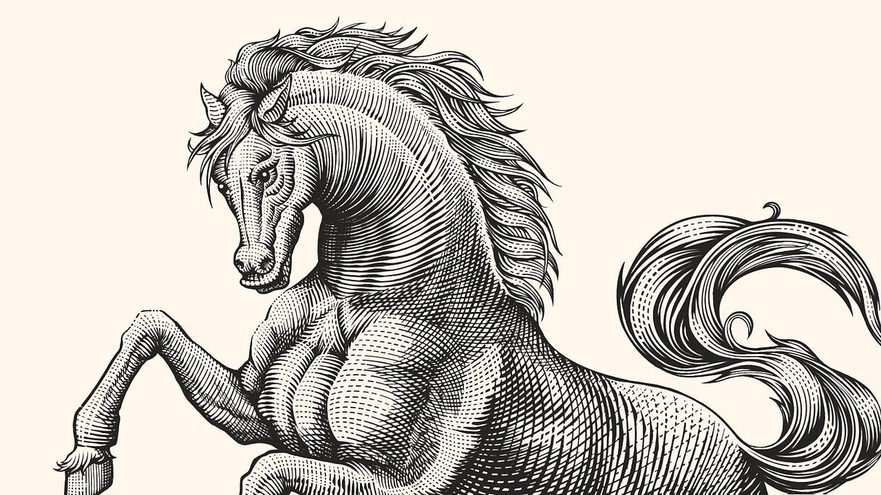 君毅x宝树行旗下 CAPERCAILLIE品牌战略升级（图ZMzk2OTQxODAw） - 品牌 - 站酷设计师君毅设计JunY1原创素材 - 站酷ZCOOL