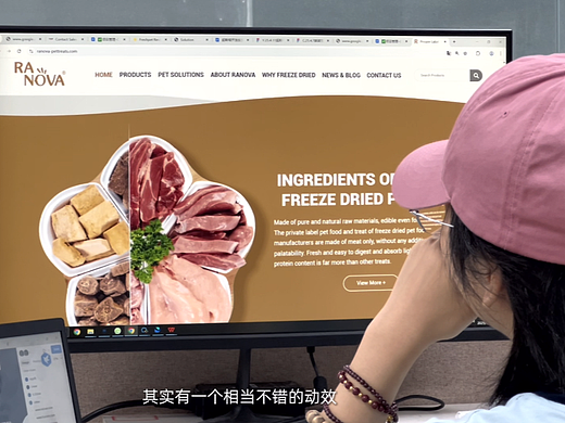 每个品牌官网都有一个故事-朗诺
