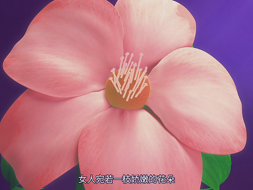 【宫颈癌女性健康】- 医疗科普｜知识百科 MG动画结合