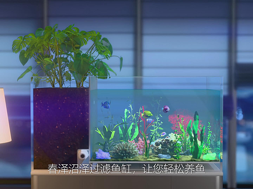 【沼泽鱼缸】- 3D动画 产品展示