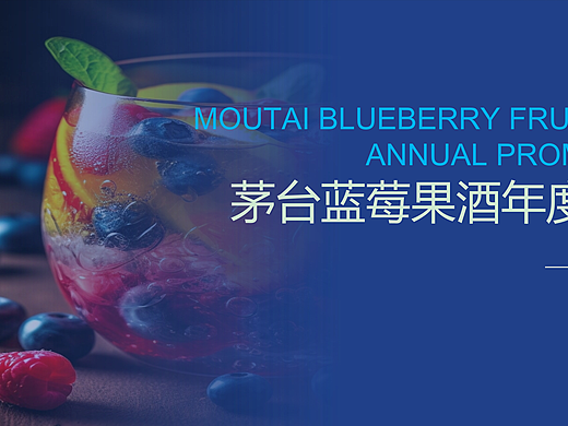 果酒品牌年度推广策略PPT