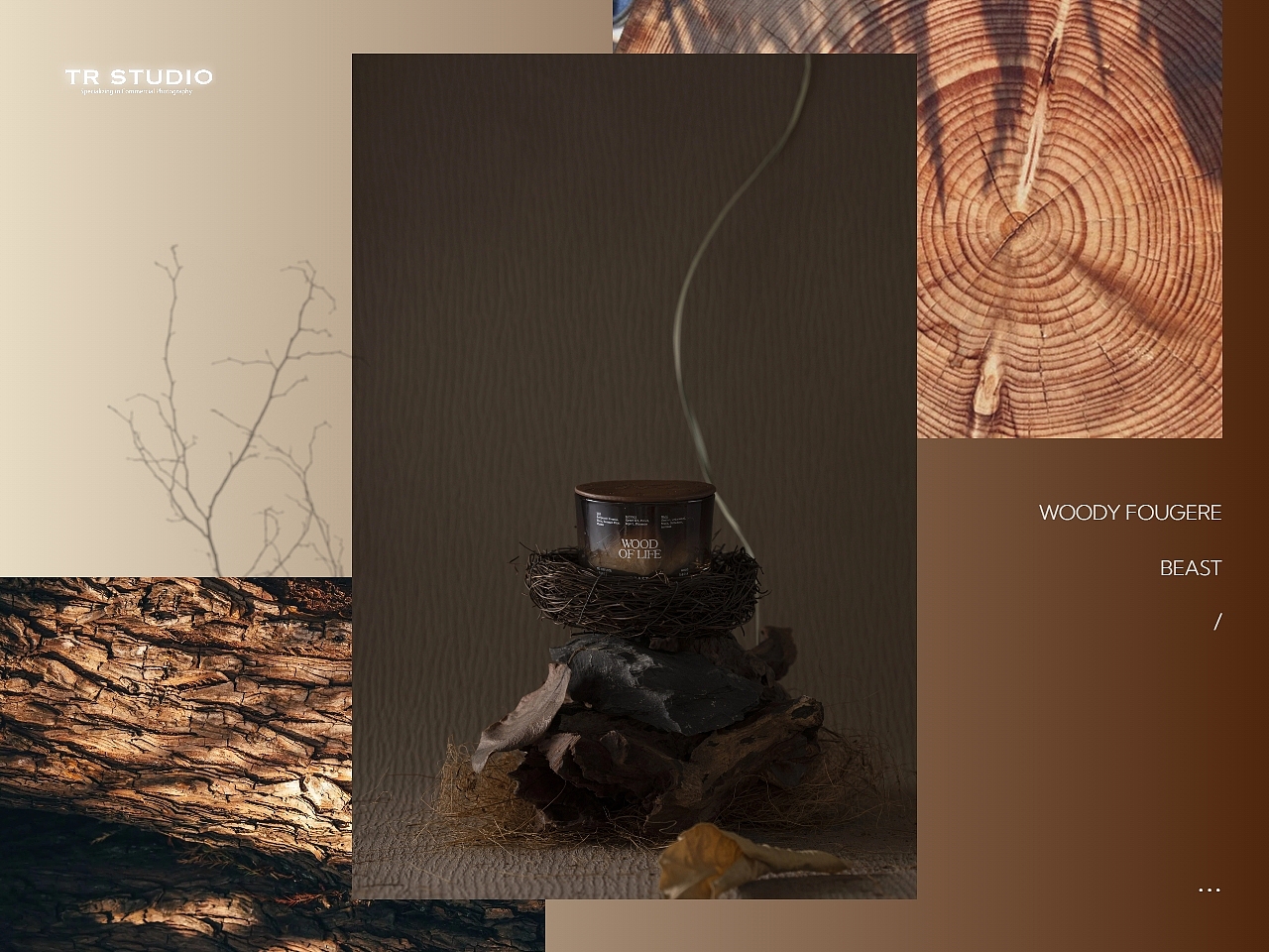 野兽派|乌木沉韵·时光织墨