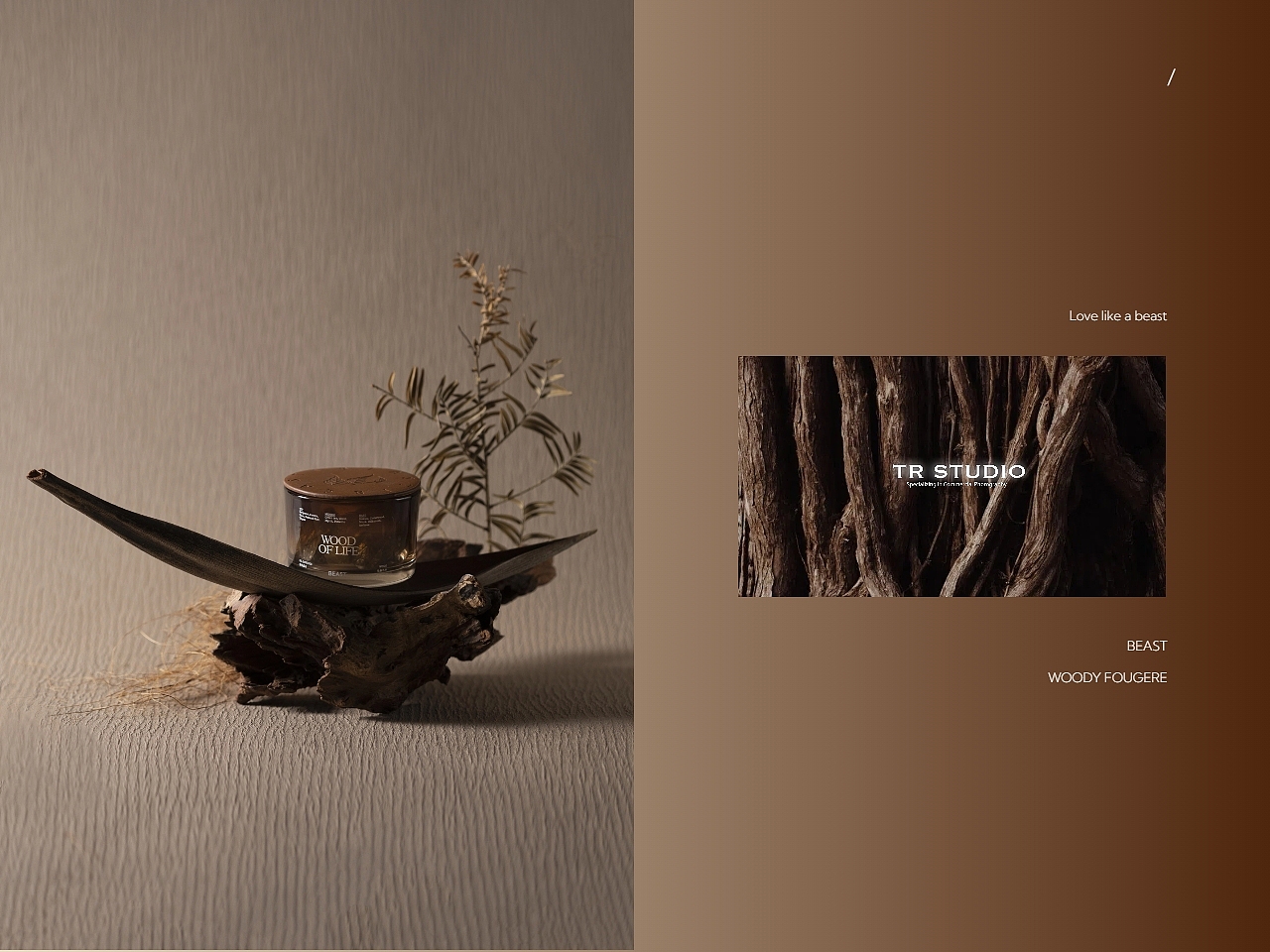 野兽派|乌木沉韵·时光织墨