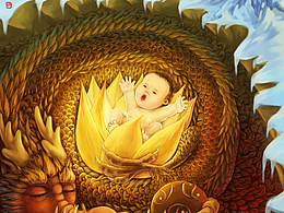 《藏生·二十四节气插画》欢迎商用合作