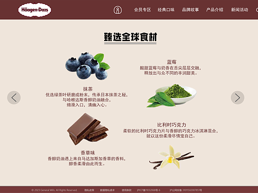 哈根达斯网页改