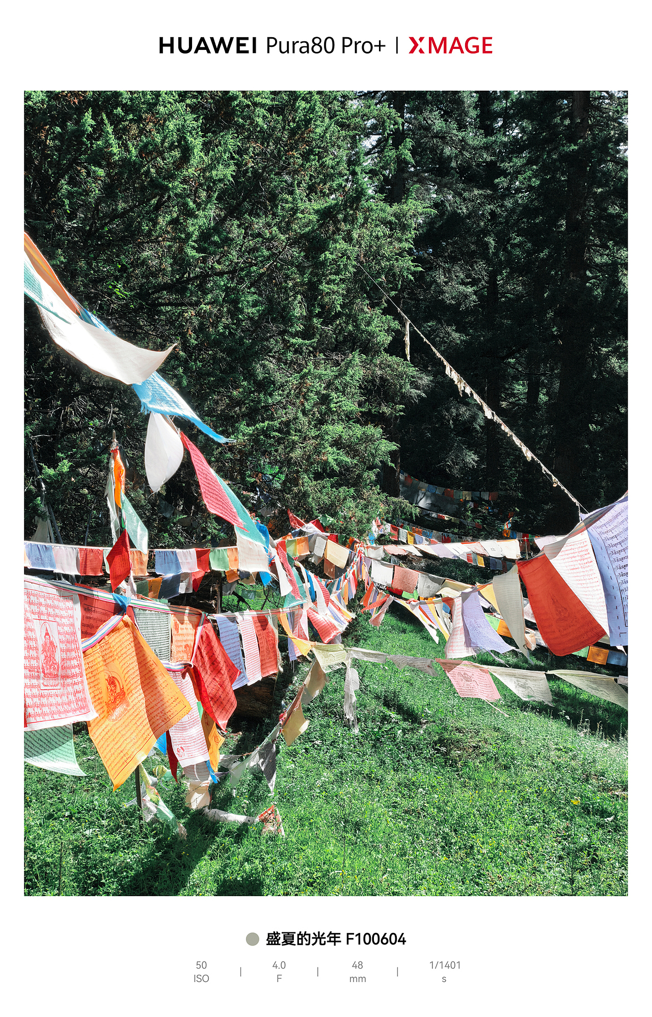 川西宝藏地：大录原始森林与神仙坪的梦幻联动（图ZMzk3MDIzNjcy） - 风光摄影 - 站酷设计师图龙摄影原创素材 - 站酷ZCOOL