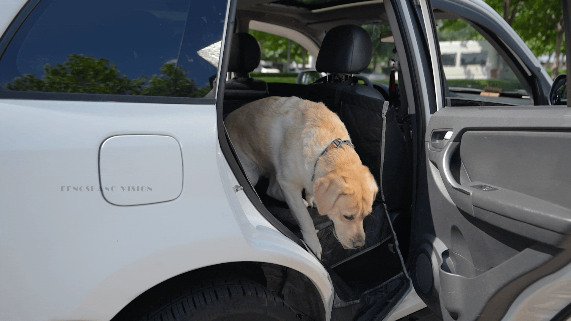 亚马逊宠物车载垫|宠物产品拍摄丨宠物产品视频拍摄