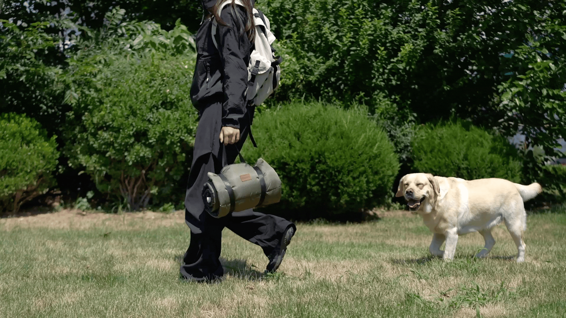 亚马逊宠物垫子丨宠物垫子视频丨宠物产品视频拍摄