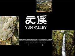 云溪葡萄酒｜品牌设计