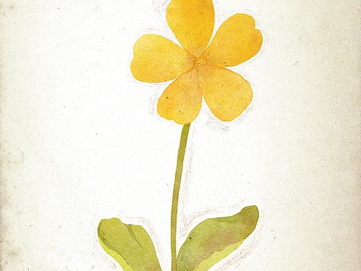 速涂