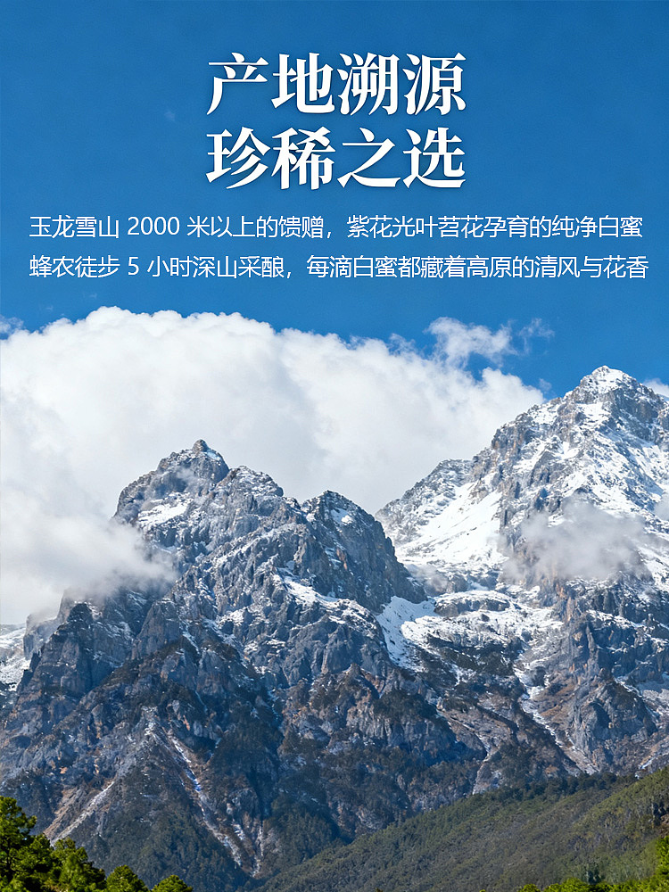 云南高原白蜜的产地溯源宣传图,以玉龙雪山壮丽景观为背景,传递产品价值。“产地溯源 珍稀之选” 的主标题,突出对产品源头的强调;副标题从产地(玉龙雪山 2000 米以上 )、蜜源(紫花光叶苕花 )、采集(蜂农徒步 5 小时深山采酿 )多维度,诠释白蜜 “纯净、珍稀” 的特质,“每滴白蜜都藏着高原的清风与花香” 则用诗意表达,强化产品天然、优质的形象,借绝美自然风景与文案结合,建立消费者对产品产地优势和品质的信任 。