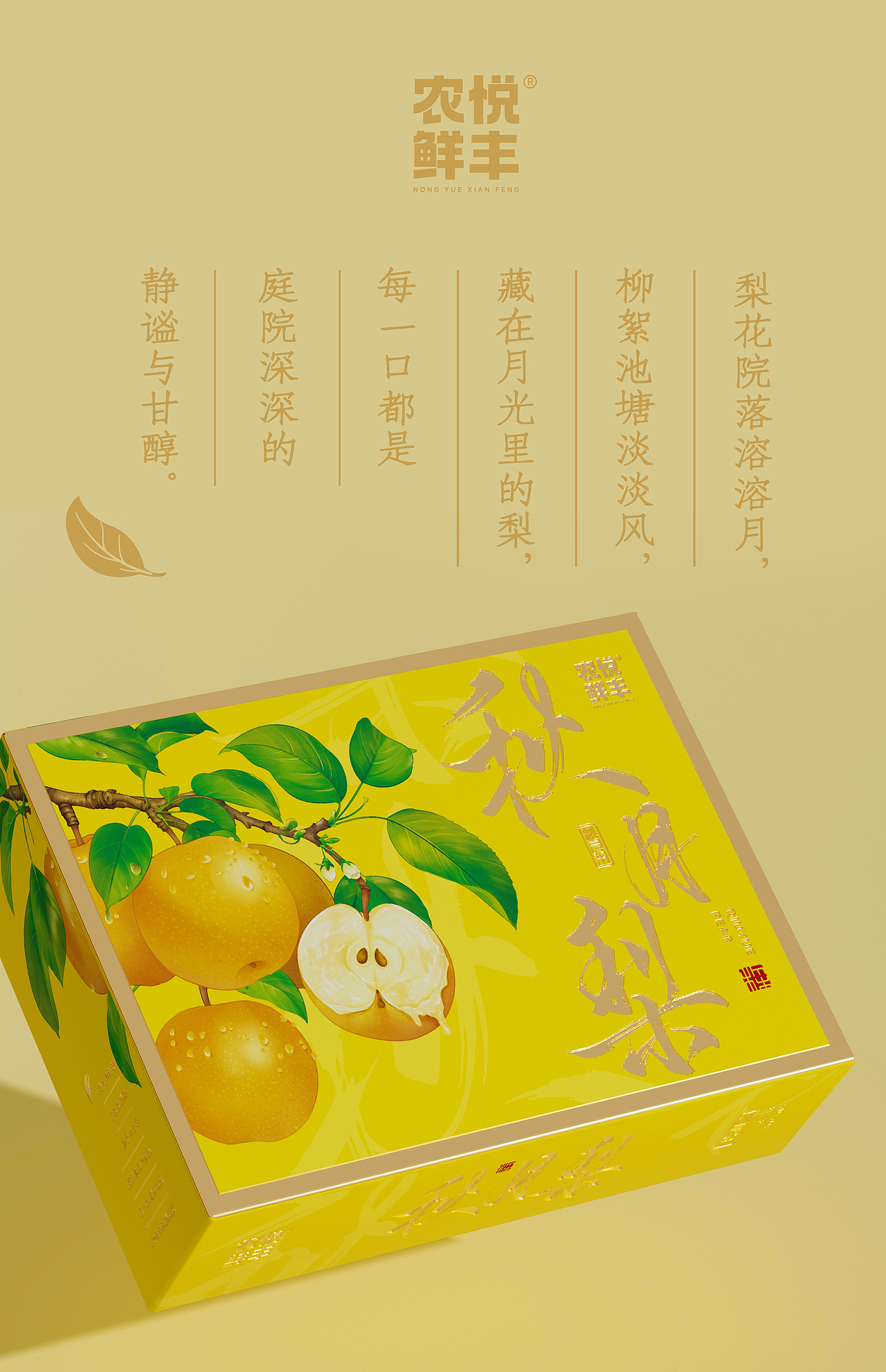 秋月梨水果包装
