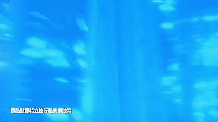 《随变》预告片