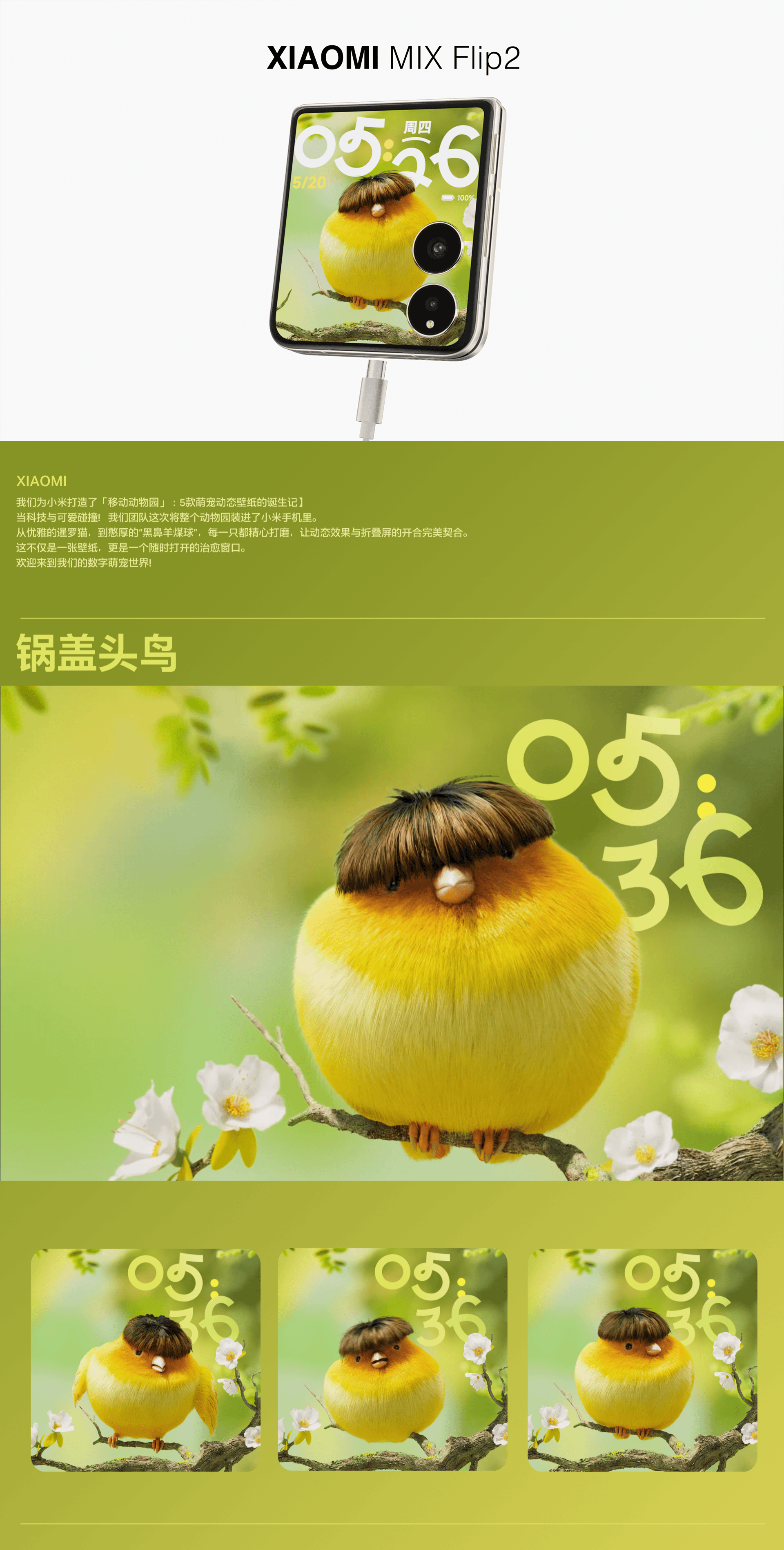 小米萌宠动态壁纸