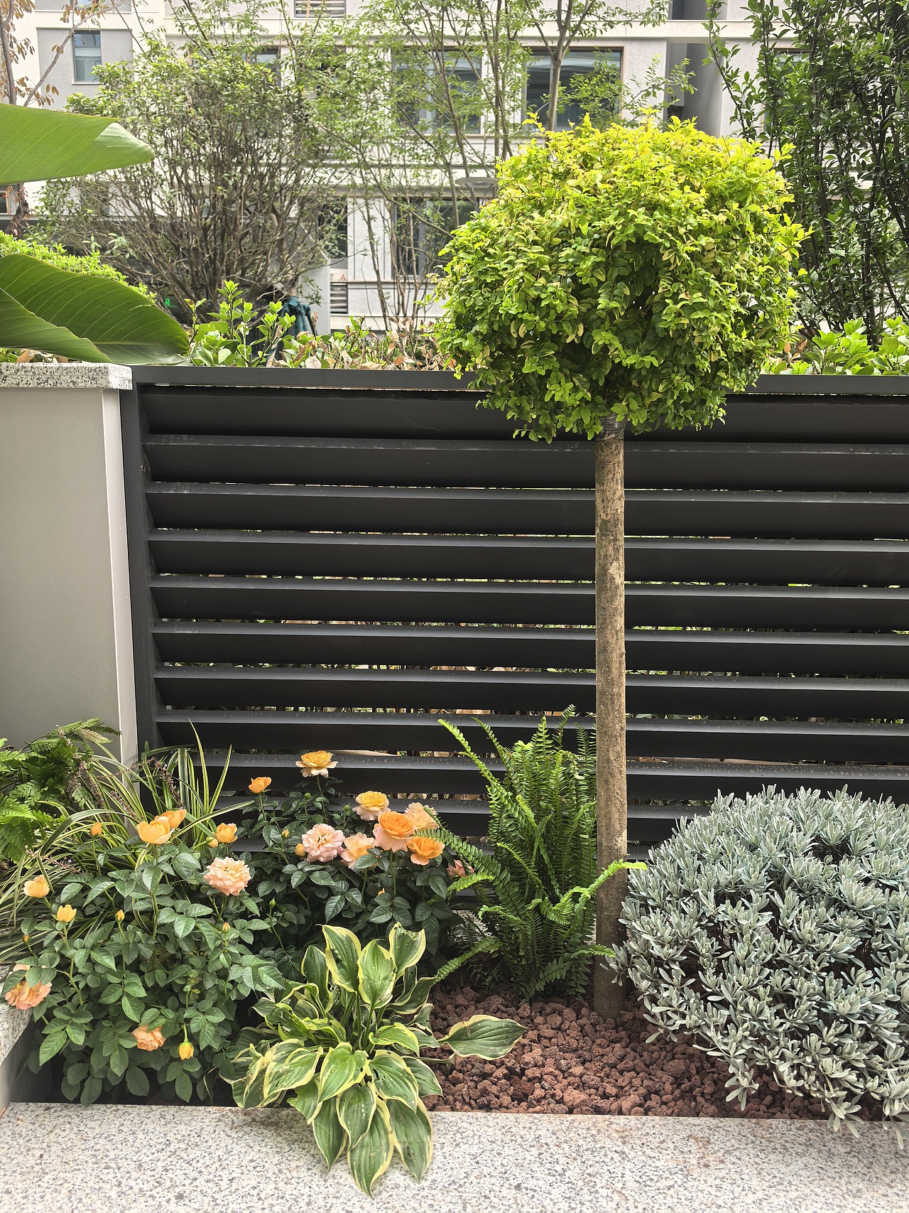 65㎡极简风庭院花园落地效果