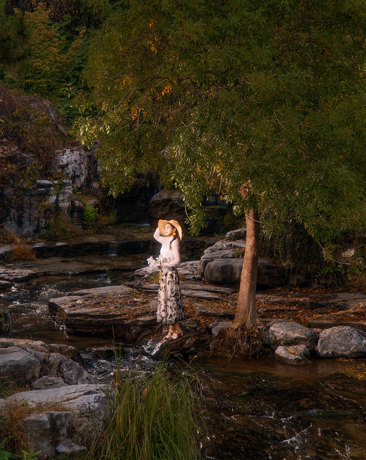 漫步秋日的奥森南园