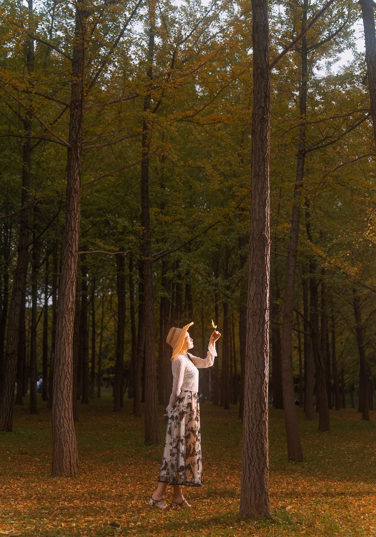 漫步秋日的奥森南园