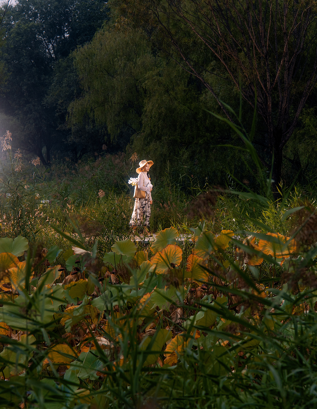 漫步秋日的奥森南园