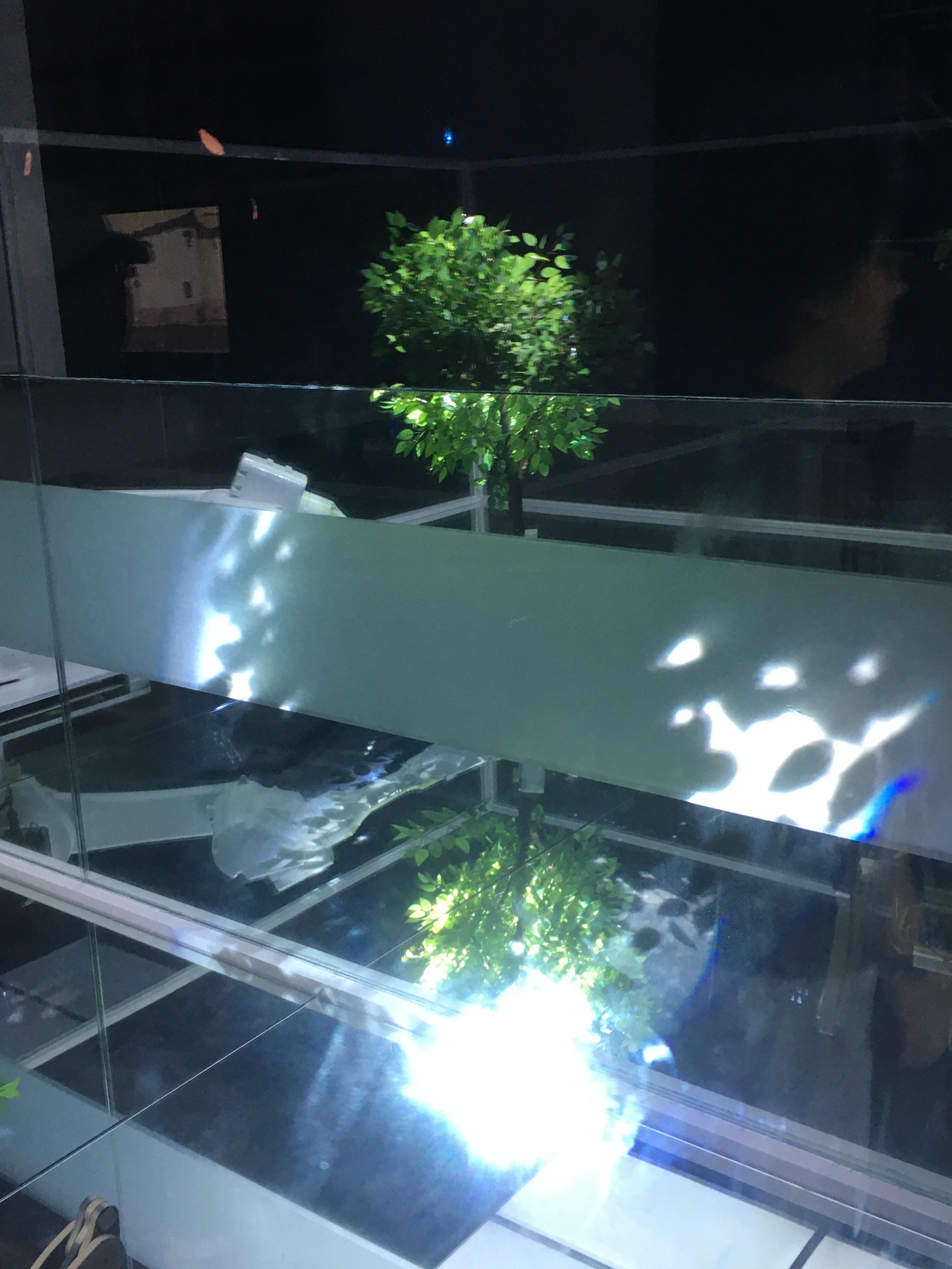 探索未来与艺术的交融——上海中华艺术宫惊艳展览纪实