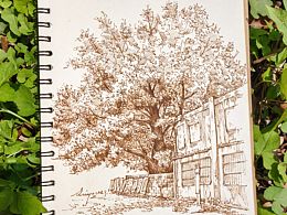 喜欢那些不经意的角落