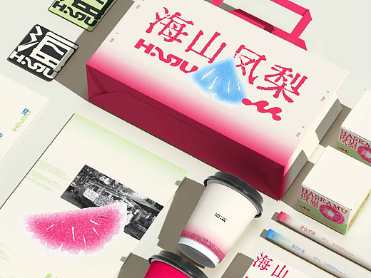 <海山凤梨>品牌视觉设计 | 浪课江湖
