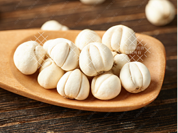 中药材川贝母拍摄