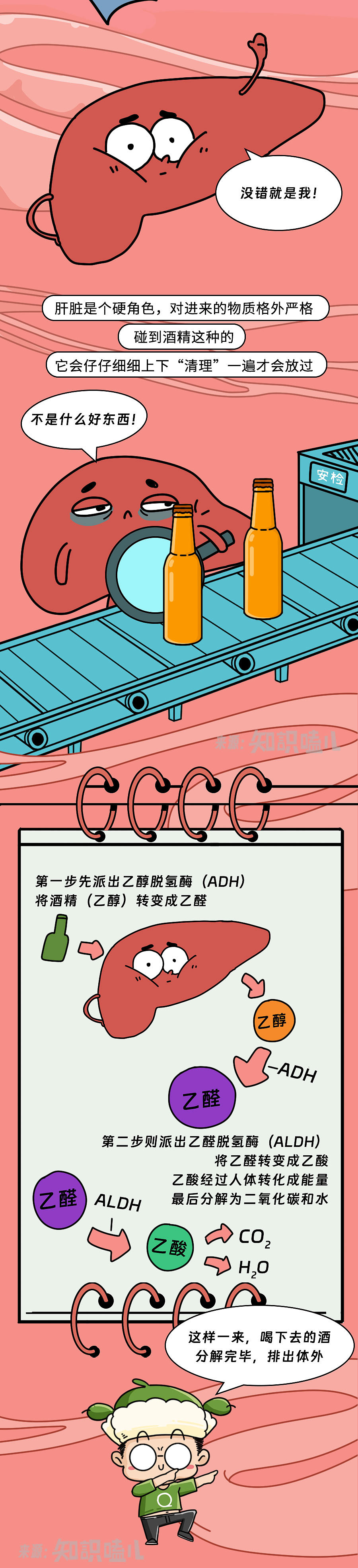 假期聚会别再喝酒了！这杯酒，身体真的承受不住...