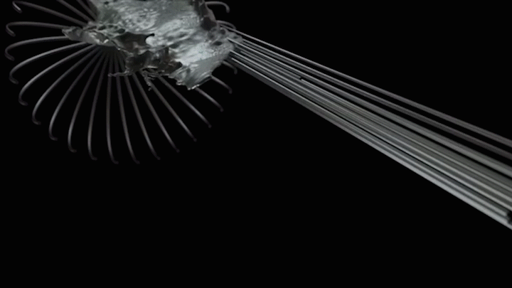 《NVIDIA显卡》预告片（图ZMzk3MTQ4OTg4） - 产品 - 站酷设计师MacauWingfai原创素材 - 站酷ZCOOL