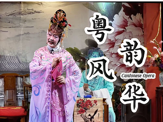《粤韵风华》