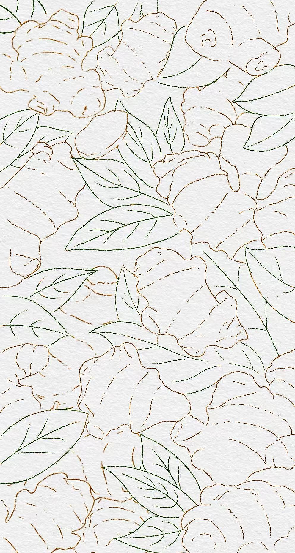 手绘 老黄姜洗发水瓶贴