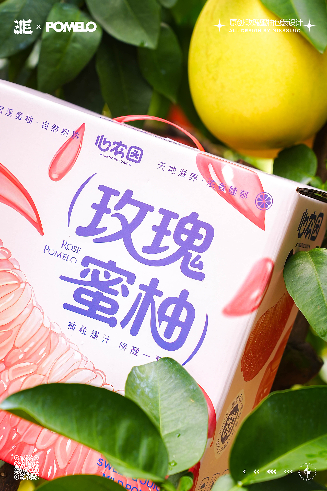 原创水果插画四大名柚包装设计