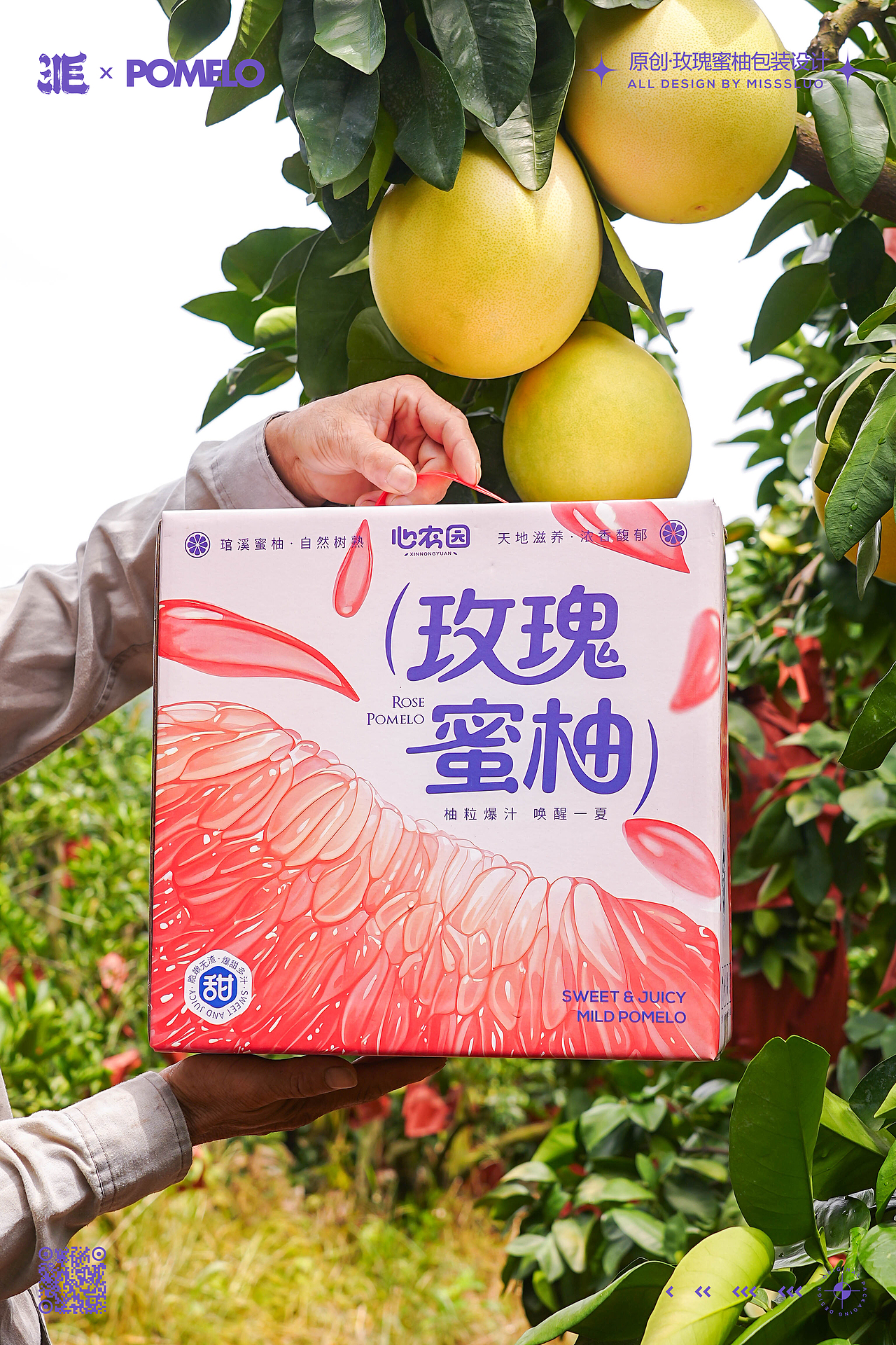 原创水果插画四大名柚包装设计