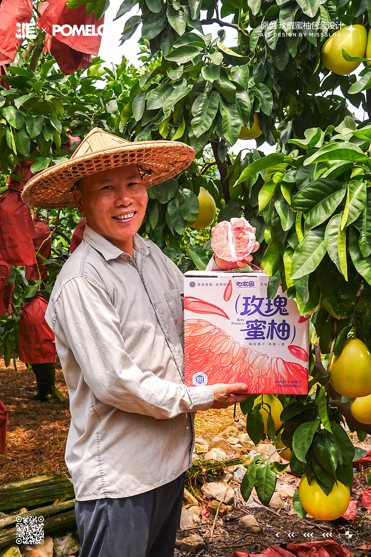 原创水果插画四大名柚包装设计
