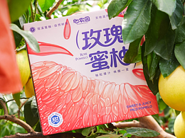 原创水果插画四大名柚包装设计