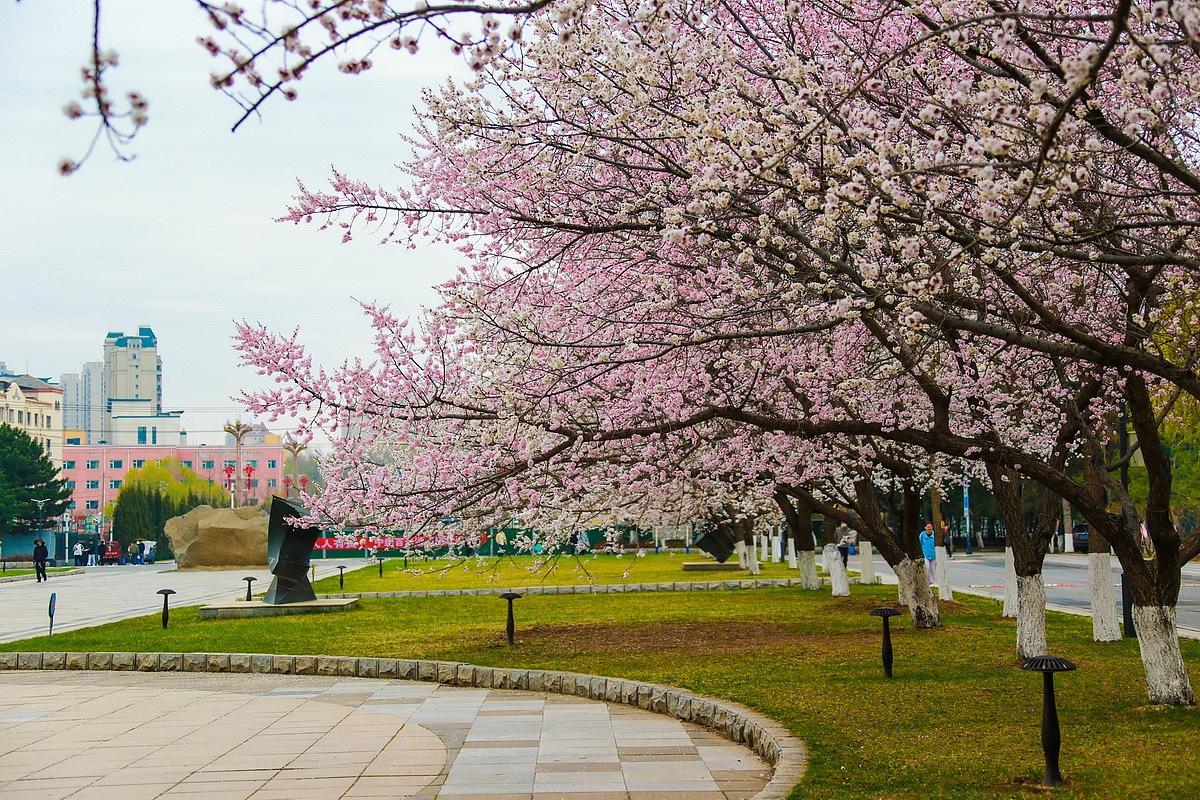 风景摄影-春天的师大（图ZMzk3MjEzMjcy） - 风光摄影 - 站酷设计师Art56789原创素材 - 站酷ZCOOL