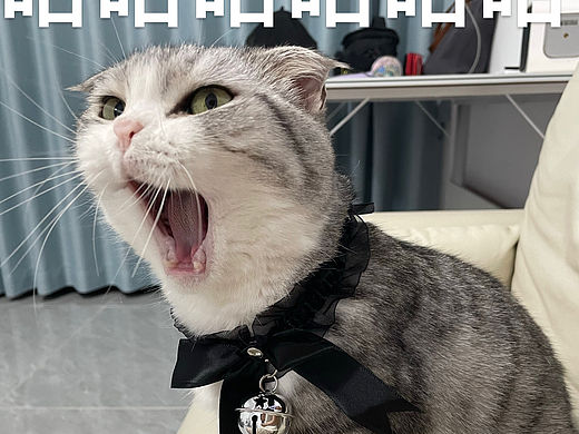 「咪的表情包」处吗宝贝😎