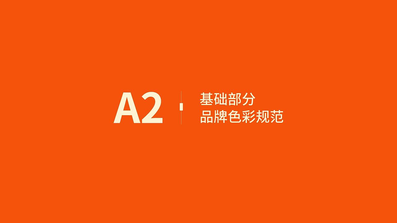 《菲古思》品牌视觉识别手册