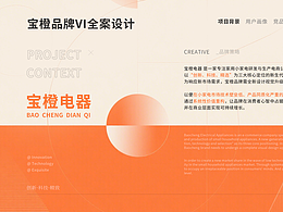 宝橙品牌VI全案设计