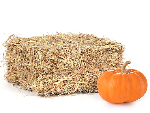 亞馬遜稻草設(shè)計（個人主頁-ZNzI2MTIyNTY=） - 電商 - 站酷設(shè)計師6bKlm5OTMh原創(chuàng)素材 - 站酷ZCOOL