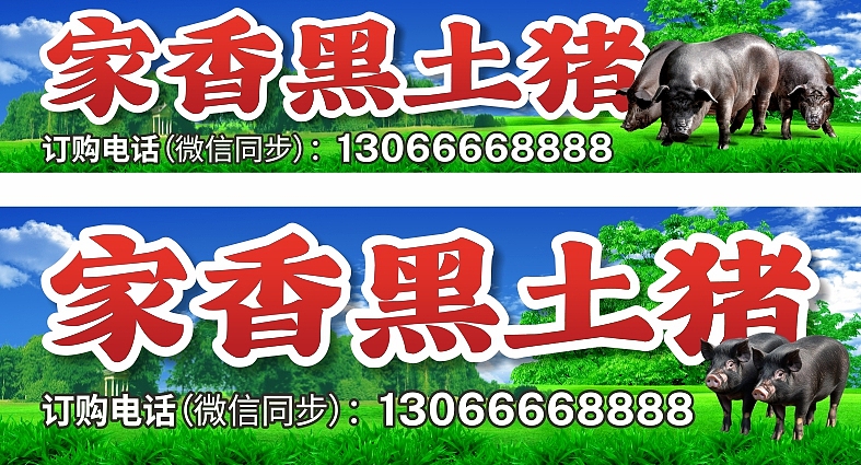 2025年9月作品总结