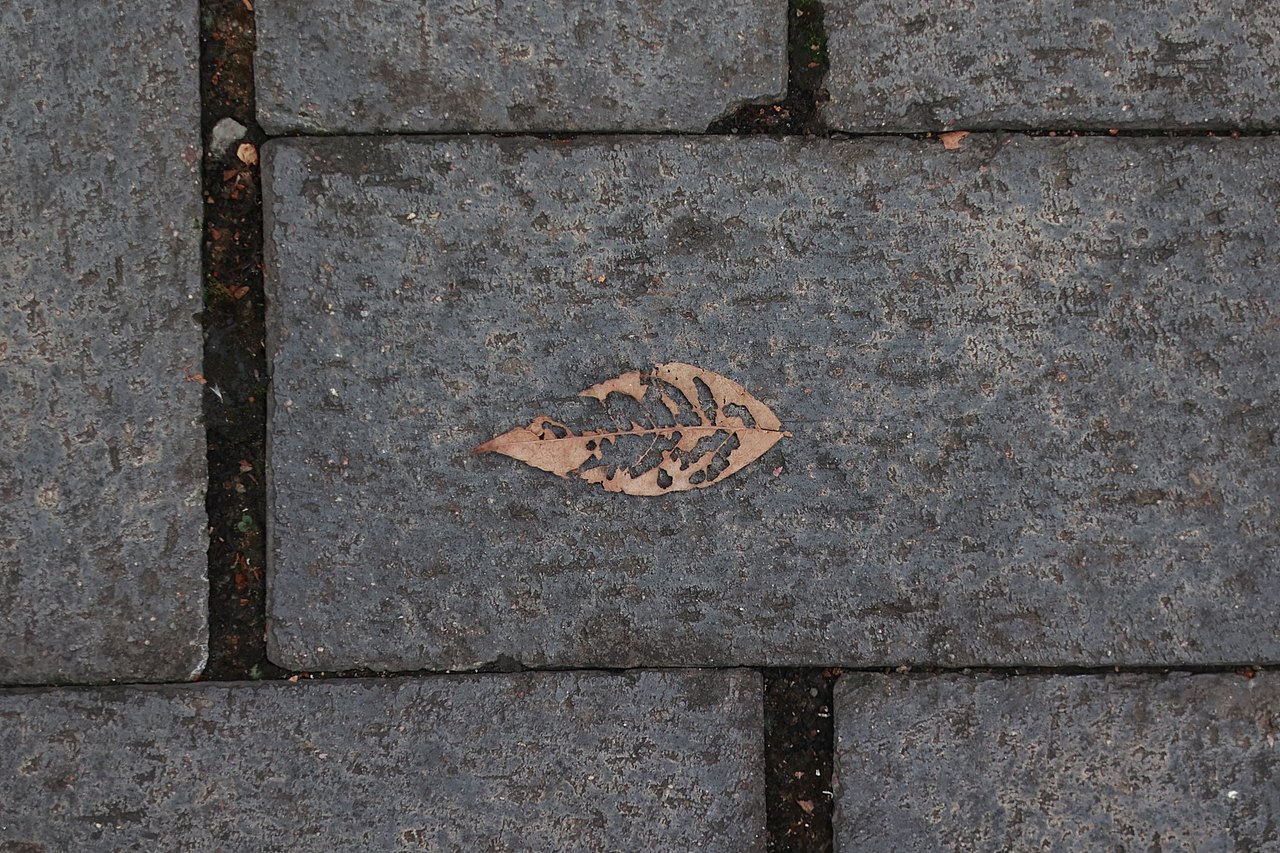 树树皆秋色,山山唯落晖