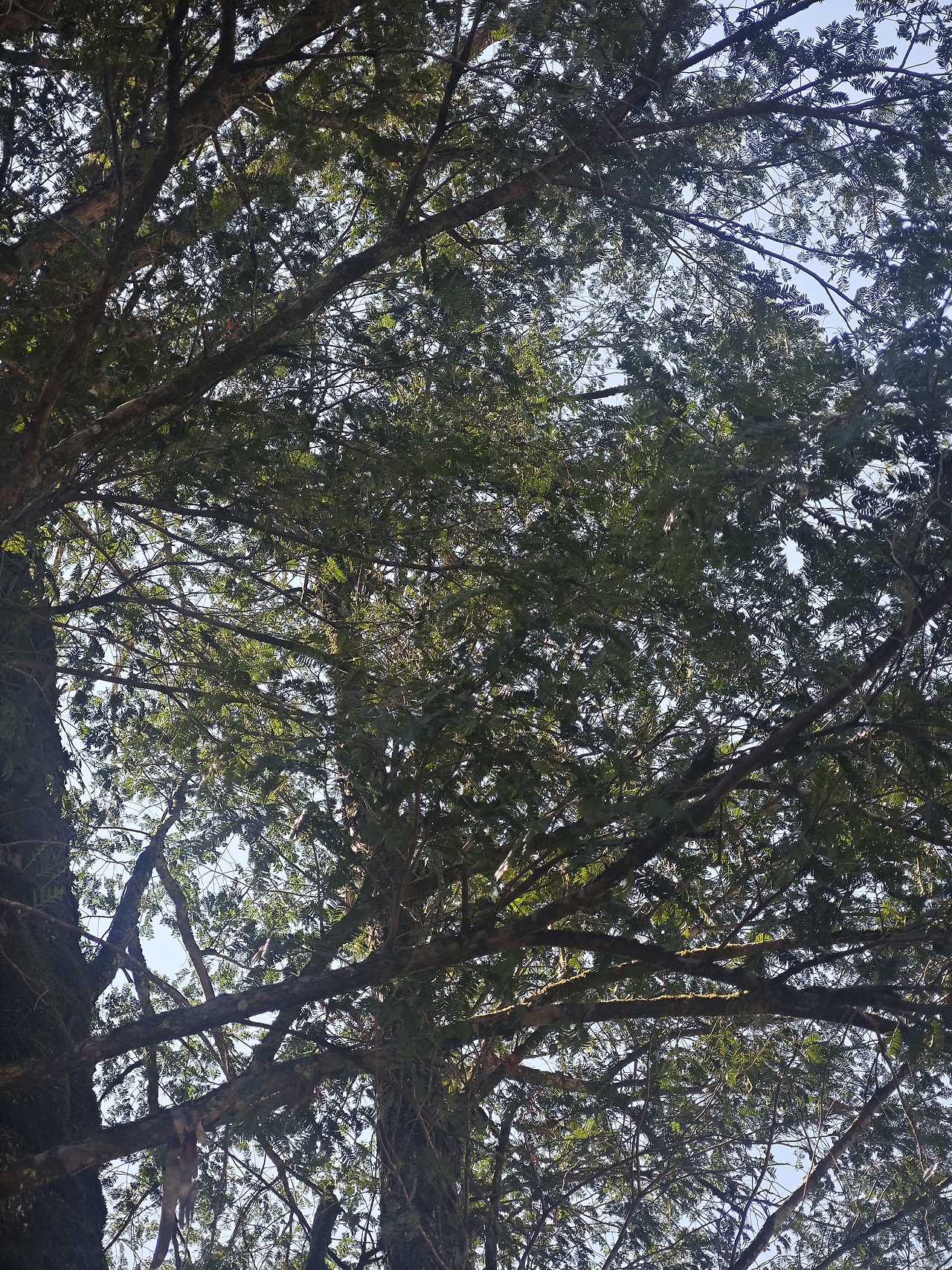 2025年10月的福建北部山区