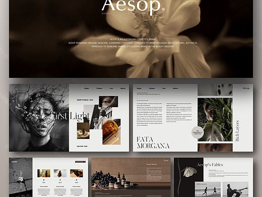 Aesop PPT模板——诠释智慧与平衡 