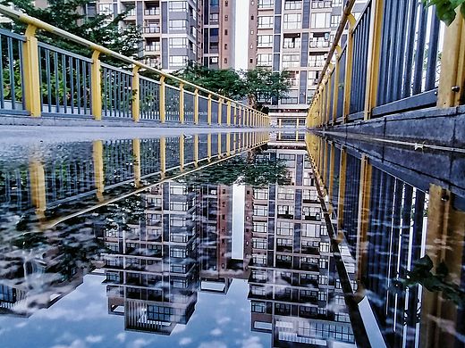 雨痕、建筑与花：解锁城市里的诗意镜像与清新角落