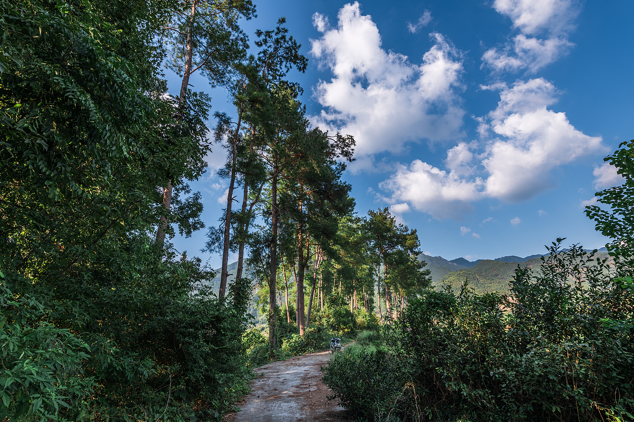 故鄉(xiāng)的小路（圖ZMzk3MjgxODg4） - 風(fēng)光攝影 - 站酷設(shè)計(jì)師游在外面的魚(yú)原創(chuàng)素材 - 站酷ZCOOL