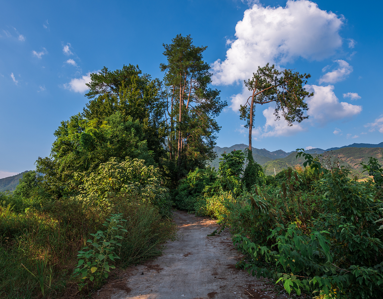 故鄉(xiāng)的小路（圖ZMzk3MjgxOTAw） - 風(fēng)光攝影 - 站酷設(shè)計(jì)師游在外面的魚(yú)原創(chuàng)素材 - 站酷ZCOOL