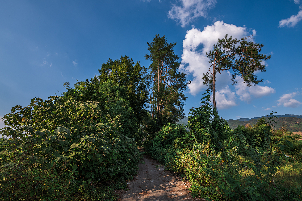 故鄉(xiāng)的小路（圖ZMzk3MjgxOTA0） - 風(fēng)光攝影 - 站酷設(shè)計(jì)師游在外面的魚(yú)原創(chuàng)素材 - 站酷ZCOOL