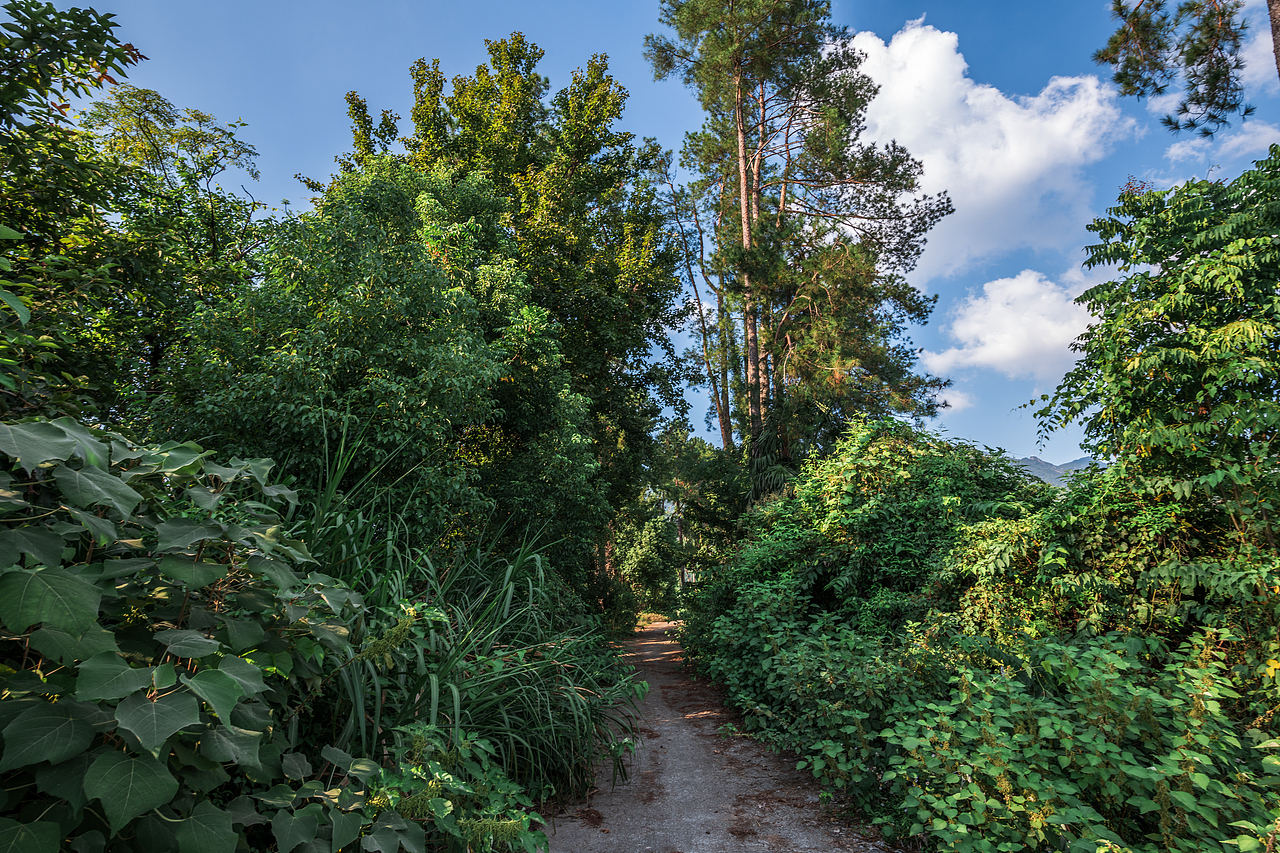 故鄉(xiāng)的小路（圖ZMzk3MjgxODk2） - 風(fēng)光攝影 - 站酷設(shè)計(jì)師游在外面的魚(yú)原創(chuàng)素材 - 站酷ZCOOL