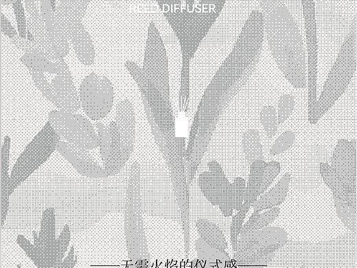 包装设计 | 无火香薰包装