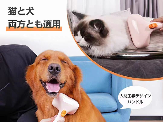 跨境电商拍摄主图设计
